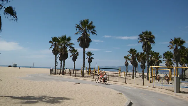 Venice Beach