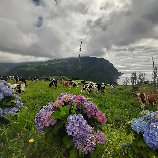 ČauTravel výlet Azory foto 4