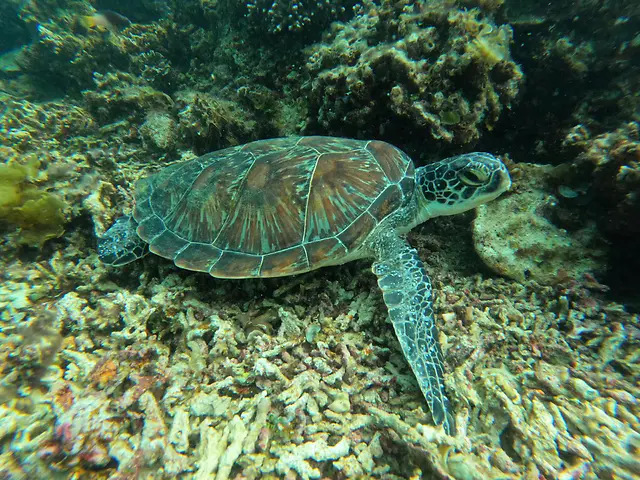 ČauTravel výlet Filipíny – Veľká noc foto 12