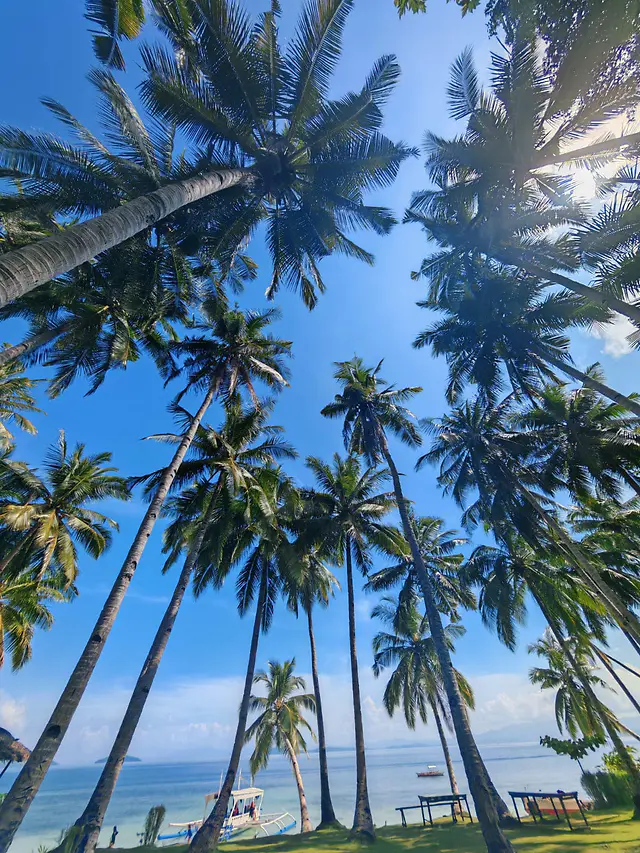 ČauTravel výlet Filipíny – Veľká noc foto 30