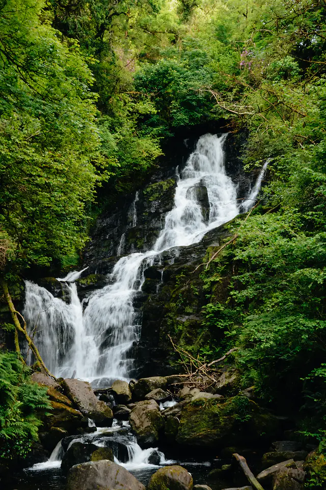 ČauTravel výlet Írsko – túra, whisky, pivo a história foto 13