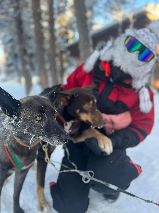 ČauTravel výlet Laponsko - Mrazivá rozprávka foto 18