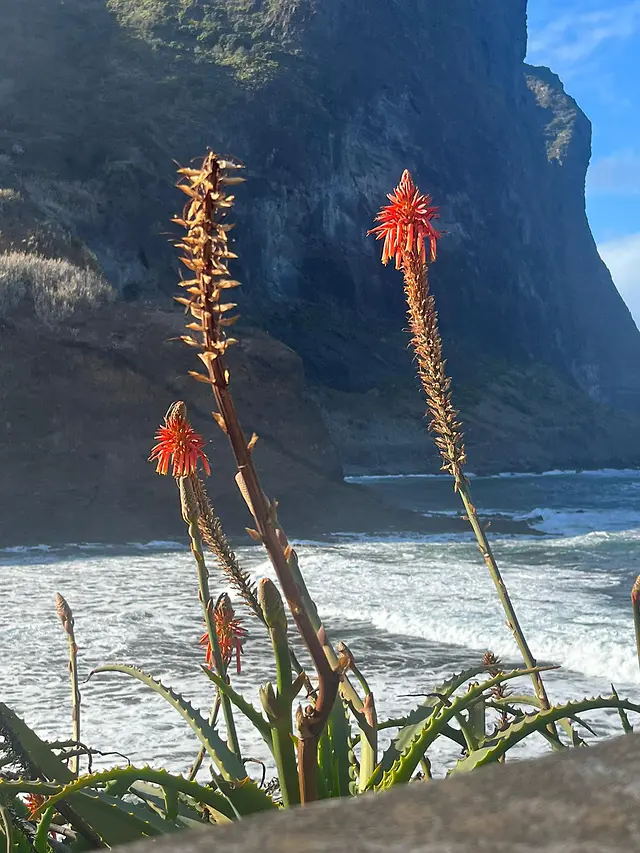 ČauTravel výlet Madeira - Ostrov večnej jari foto 16
