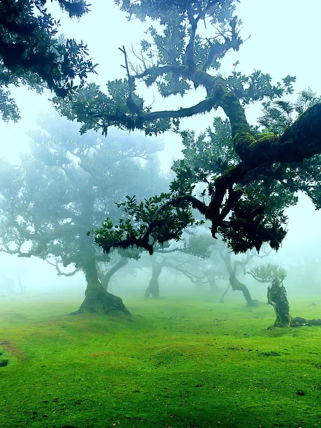 ČauTravel výlet Madeira - Ostrov večnej jari foto 29