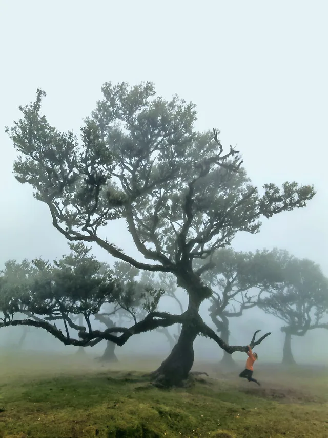 ČauTravel výlet Madeira - Ostrov večnej jari foto 30