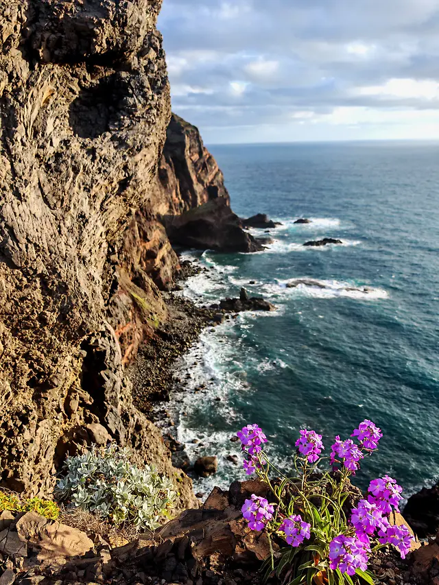 ČauTravel výlet Madeira - Ostrov večnej jari foto 33