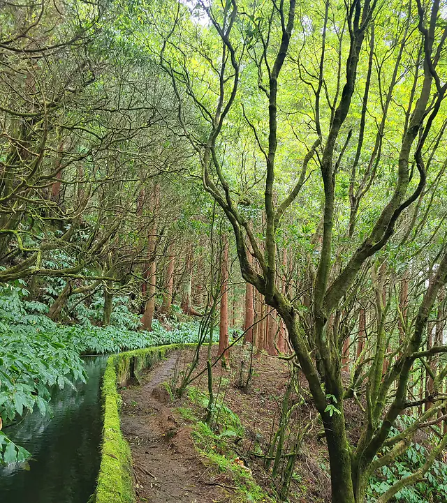 ČauTravel výlet Madeira - Ostrov večnej jari foto 34
