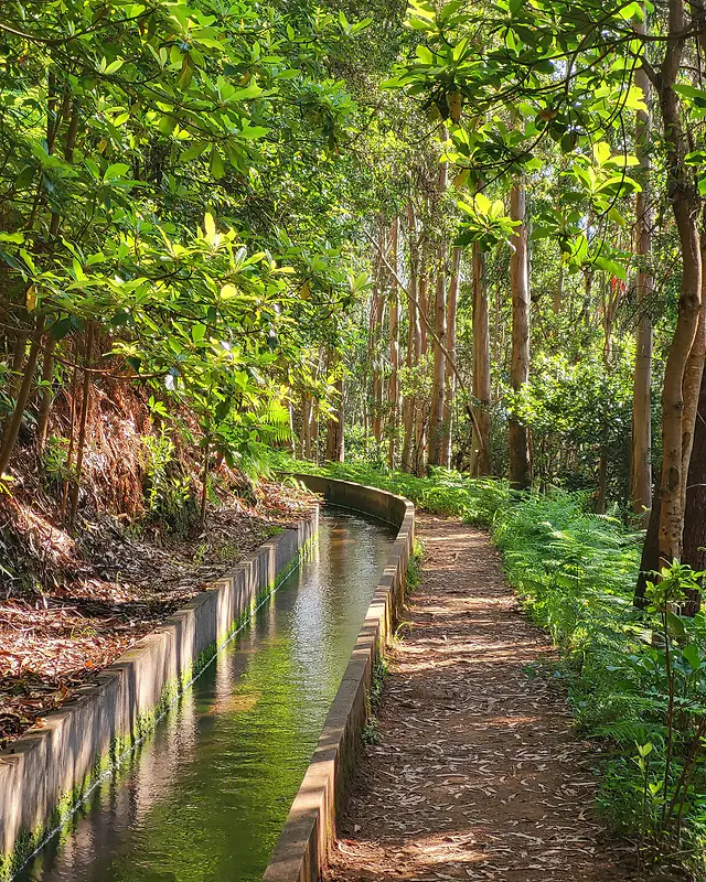 ČauTravel výlet Madeira - Ostrov večnej jari foto 36