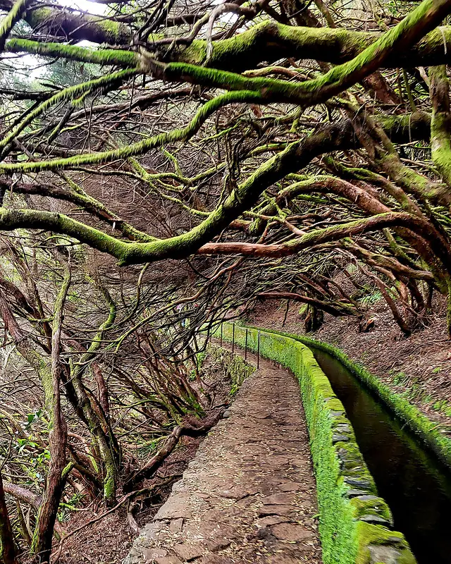 ČauTravel výlet Madeira - Ostrov večnej jari foto 37