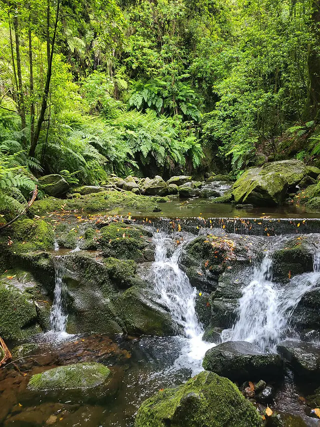 ČauTravel výlet Madeira - Ostrov večnej jari foto 51