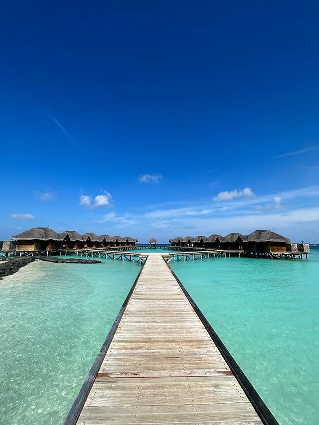 India, Maldivy – India a Maldivy a sviatok Holi