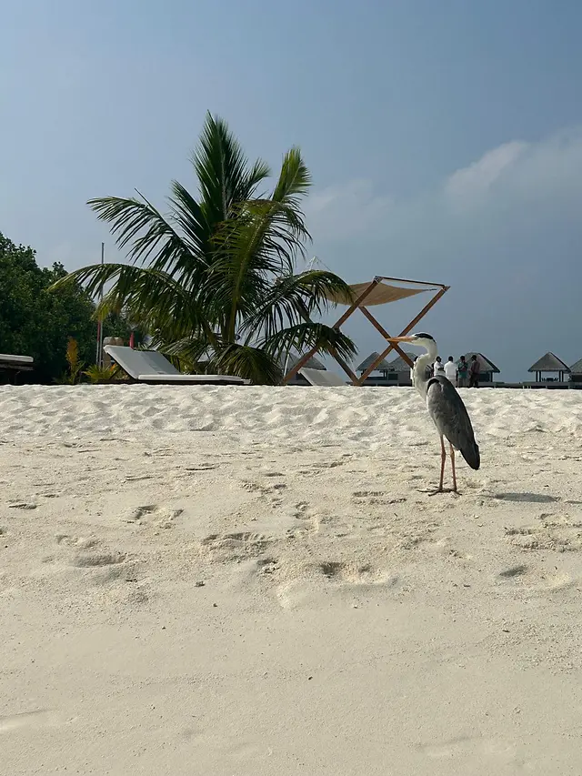 ČauTravel výlet India a Maldivy a sviatok Holi foto 39