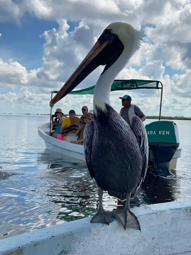 ČauTravel výlet Mexiko - Okruh Plameniak Veľká noc foto 21