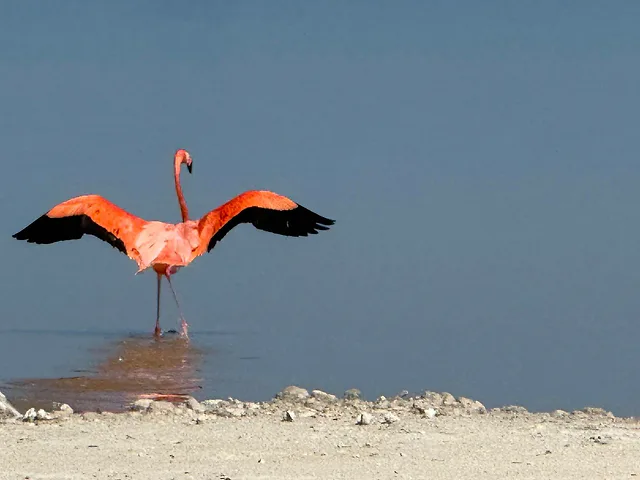 ČauTravel výlet Mexiko - Okruh Plameniak Veľká noc foto 41