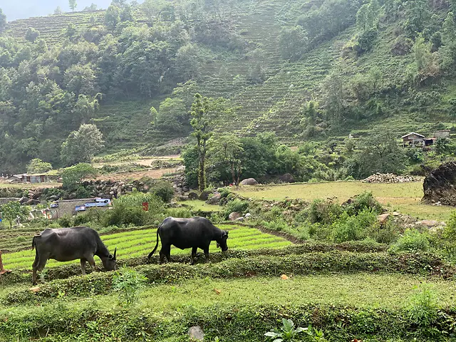ČauTravel výlet Nepál Annapurna Base Camp foto 5