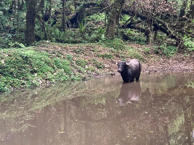 ČauTravel výlet Nepál Annapurna Base Camp foto 30