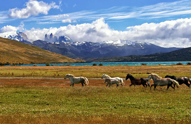 Argentína, Chile, Brazília – Argentína-Chile-Brazíla/Patagónia