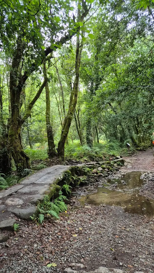 Španielsko – Santiago de Compostela