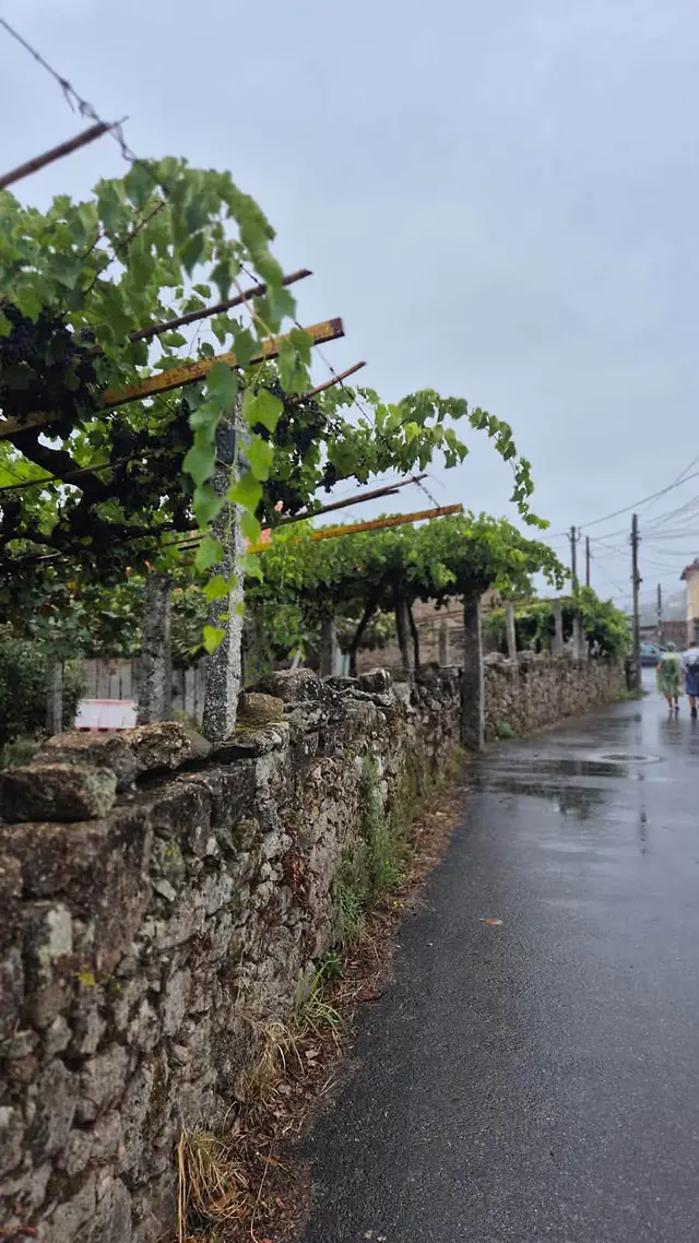 Španielsko – Santiago de Compostela