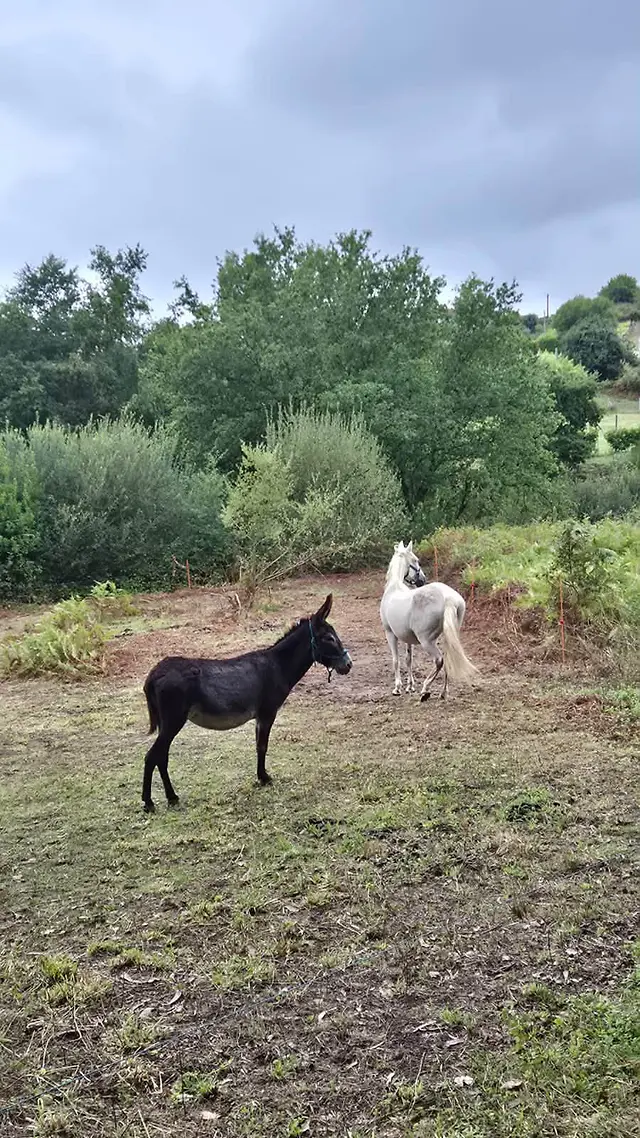 Španielsko – Santiago de Compostela