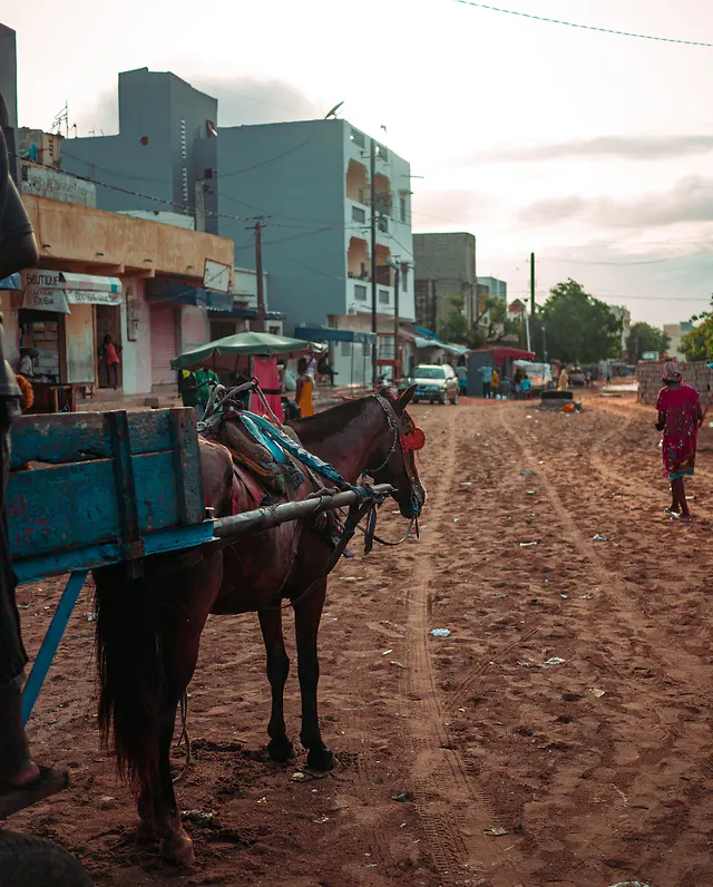 Senegal – Senegal – klenot západnej Afriky