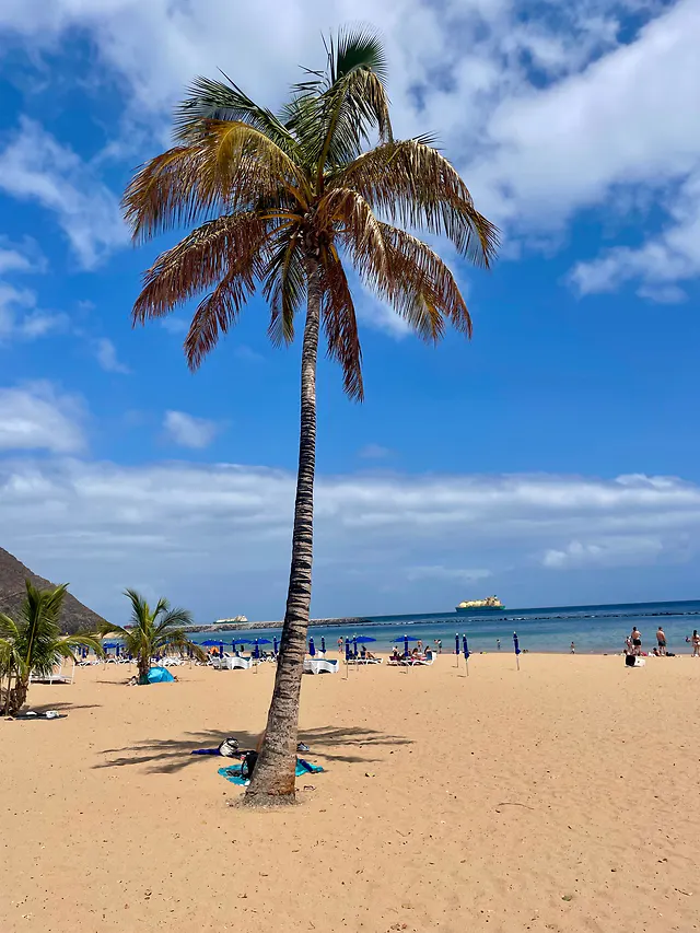ČauTravel výlet Tenerife foto 11