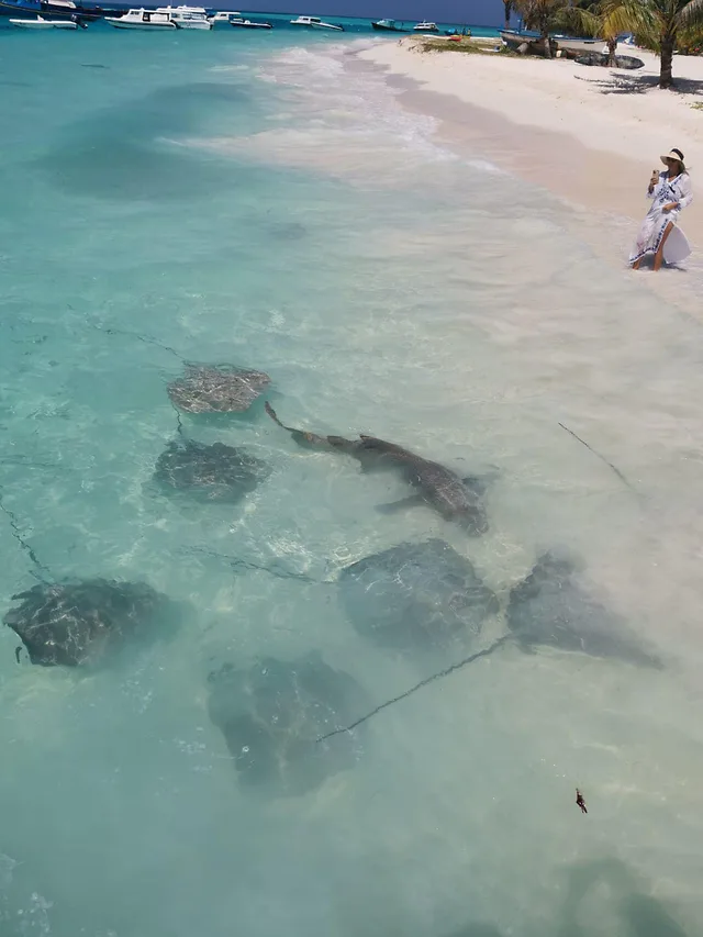 ČauTravel výlet Srí Lanka a Maldivy Veľká noc foto 16