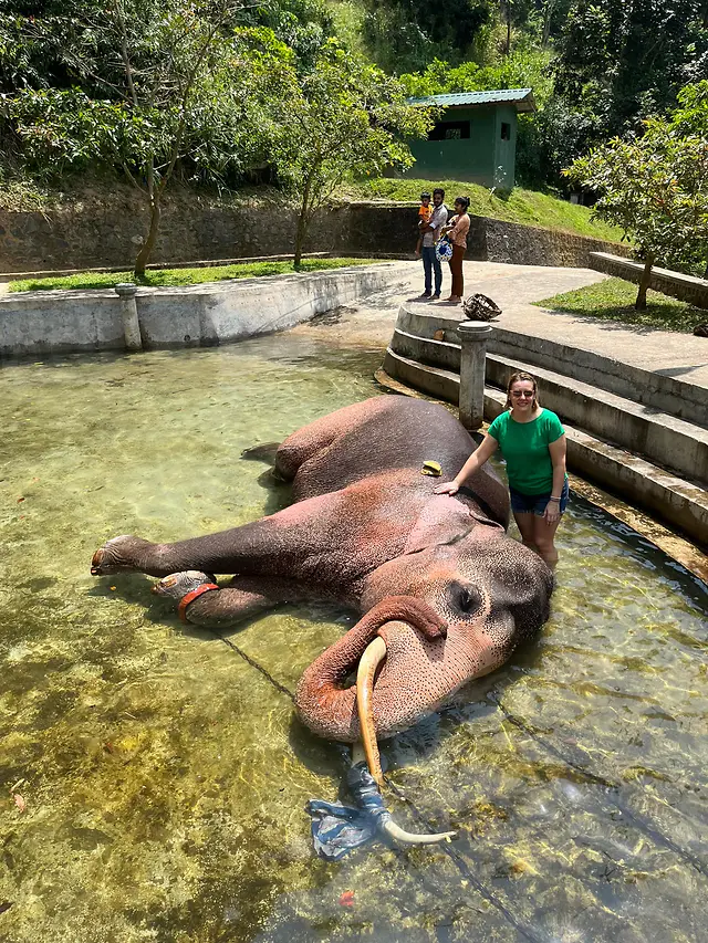 ČauTravel výlet Srí Lanka a India a sviatok Holi foto 42