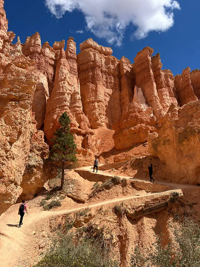 ČauTravel výlet USA – národné parky a veľkomestá foto 43